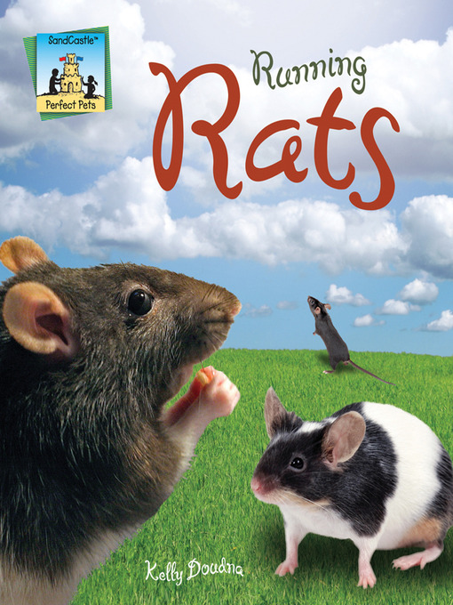 Cover image for Running Rats